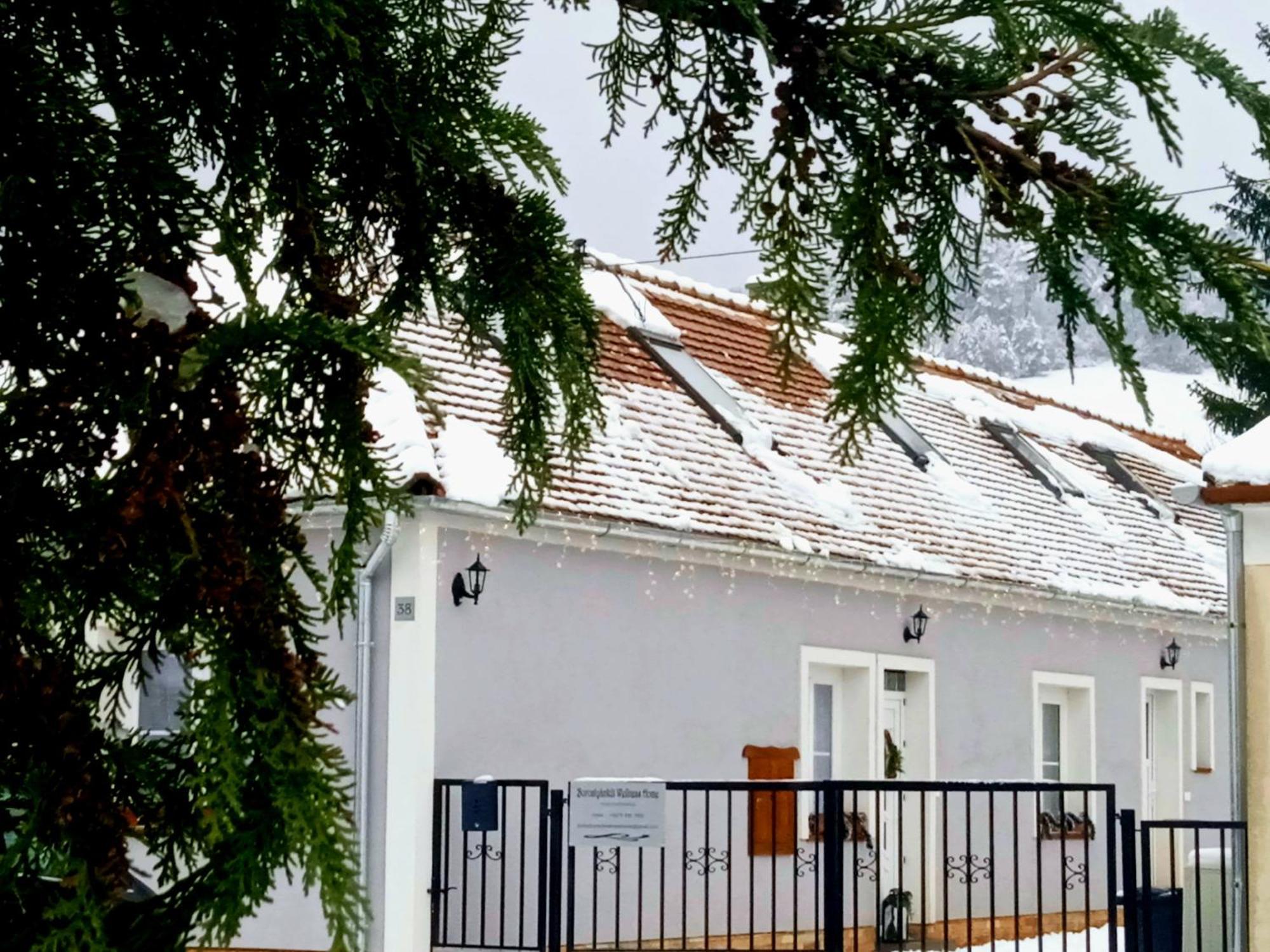 Borostyankut Wellness Home Bakonybel Bagian luar foto
